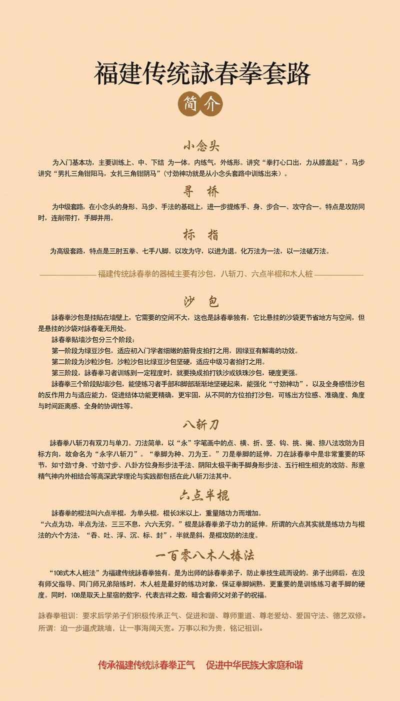 1599361960194719.jpg 福建傳統詠春拳套路(lù)_副本.jpg